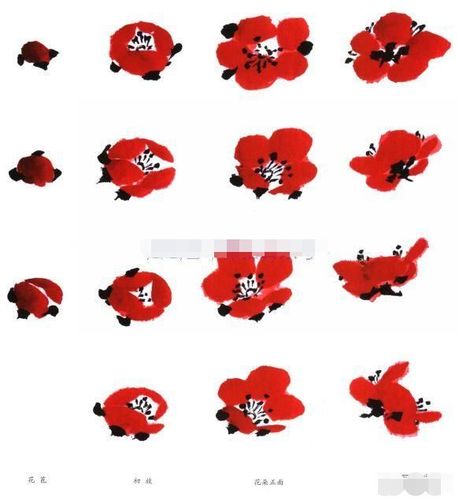 写意梅花画法示范教程梅花的树干和根部画法画梅花的构图形式