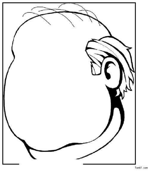 脸的轮廓-简笔画图片-儿童资源网手机版