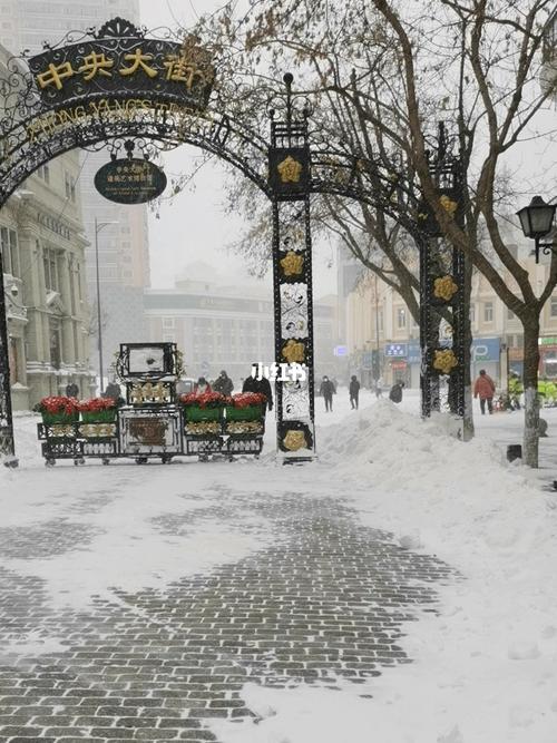 中央大街雪景_雪景_哈尔滨旅行_出行_传统景点攻略