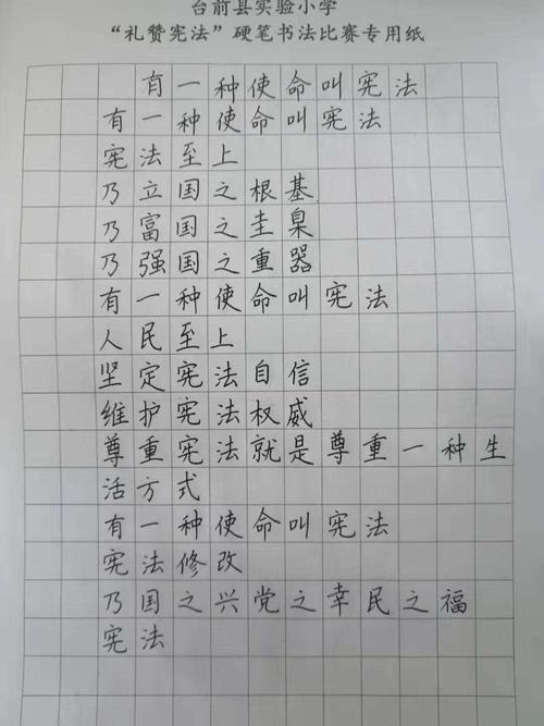台前县实验小学举行"礼赞宪法"硬笔书写比赛