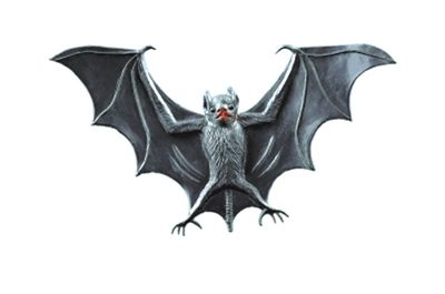 蝙蝠体内为何会有这么多病毒?