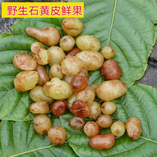 热卖神农架纯野生玉竹中药材深山玉竹片玉竹干条搭配麦