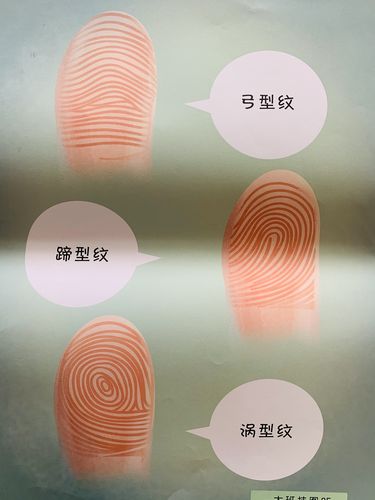 主题教育活动《独特的指纹》 活动目标: 1,认识指纹,了解指纹的作用