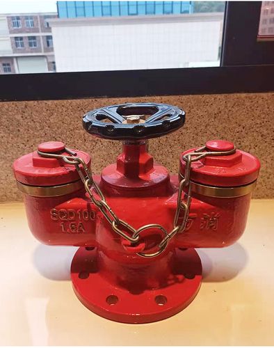 6adn100消防水泵接合器