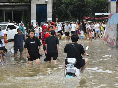 中国国际救援中心山东总队驰援郑州白沙镇灾区