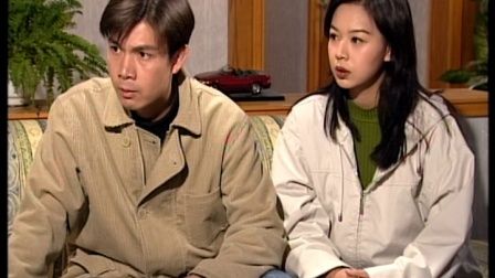 刑事侦缉档案粤语中字全集