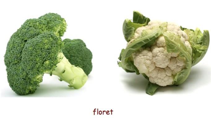 我们叫它floribunda,多花植物,很多时候,这个单词表示"多花月季"