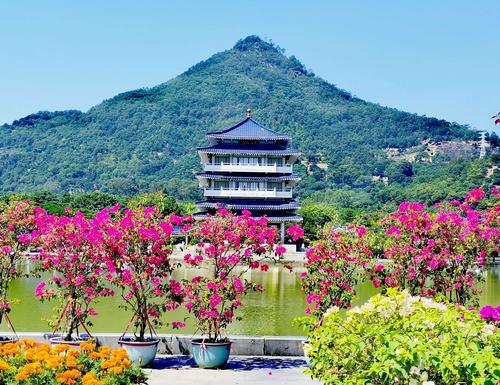 游漳州云霄将军山【原创】