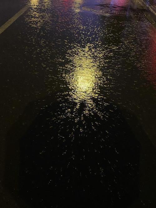 路灯映在下雨的地面上彷佛看到了梵高的画