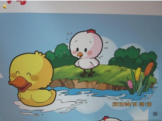 语文人教版三年级下册看图写话小鸡和小鸭
