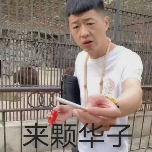 来颗华子_华子_来颗表情