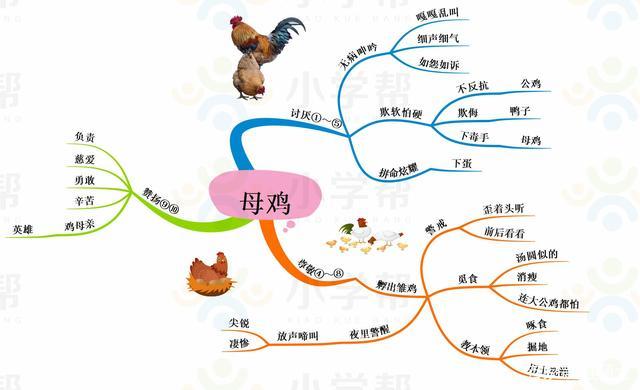 四年级《母鸡》思维导图