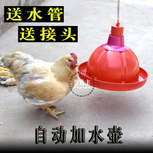 大号鸡饮水壶饮水桶 纯原料普拉松自动喂水器 鸡鸭鹅用自动饮水器