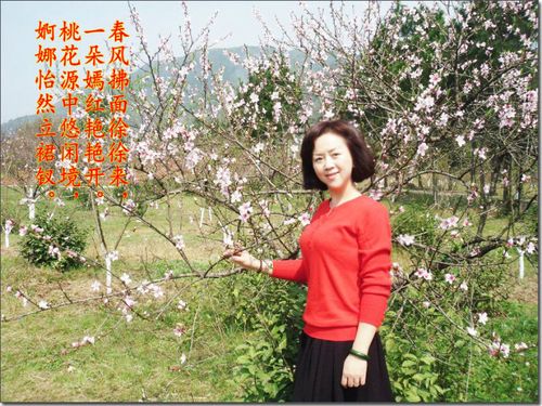 桃花(现代诗)