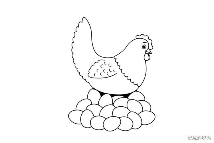 几张母鸡下蛋的简笔画图片