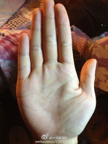 我有两条智慧线,求大仙解释!~~~(有图)