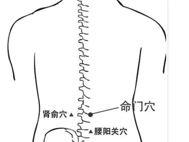命门  