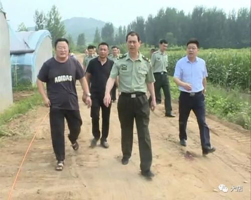 北部战区陆军副政委薛凝冰到大店镇检查督导扶贫工作