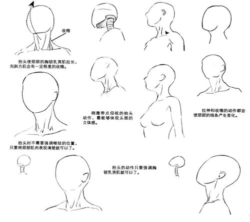 怎么画脖子