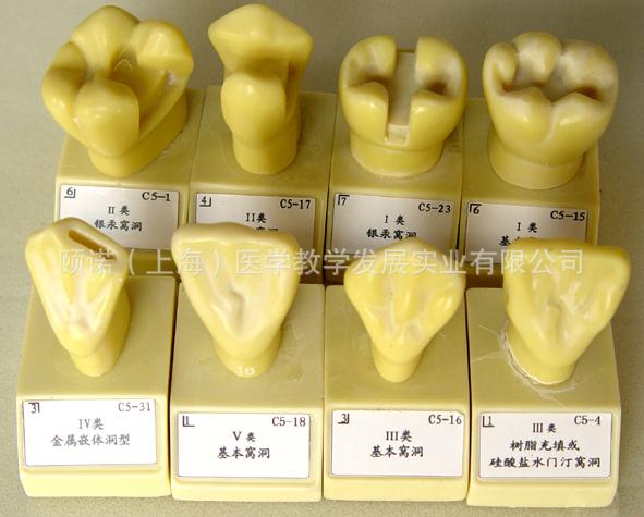 跨境enovo颐诺 口腔齿科教学模型 单色4倍大窝洞置备模型
