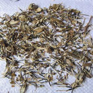 图片展示菊花类种子批发万寿菊种子万寿菊花种子庭院花卉种子