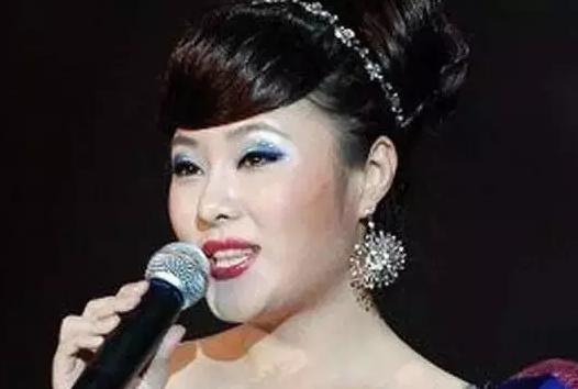 罗菲原是中国铁路文工团歌舞团歌唱演员,女高音歌手,曾代表铁路