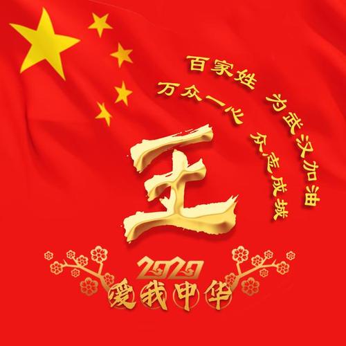 万众一心,众志成城,54个姓氏微信头像为武汉加油!