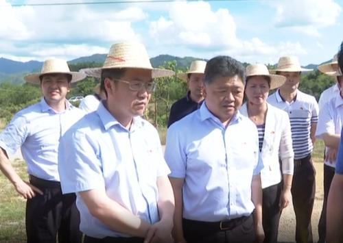 吴晖朱少辉率队到郭田镇召开百岁山矿泉水项目推进工作会