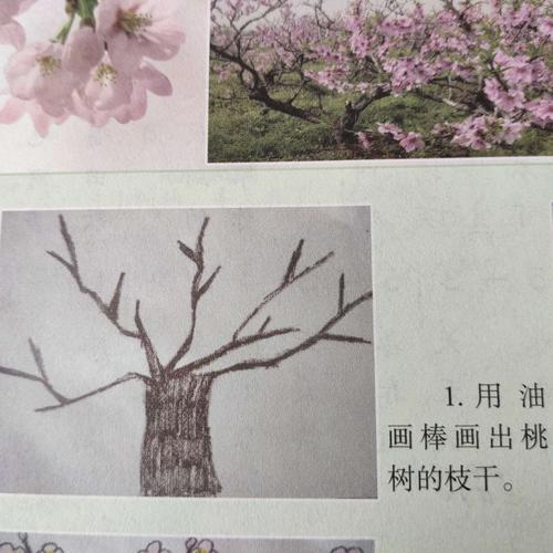 画桃花步骤