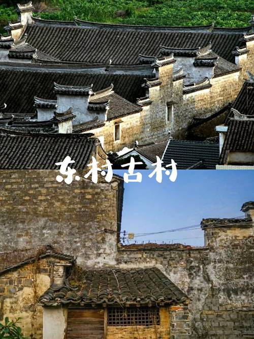 斑驳陆离的院墙,青石铺就的一条条小径,贯穿了整座东村古村
