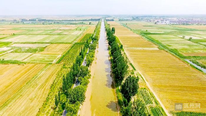 秦皇台乡奋力实现高质量发展全面突破_滨州网