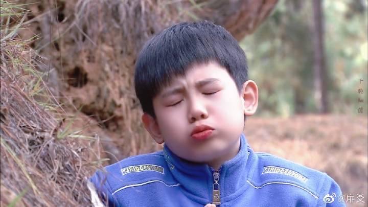 收集一些嘟嘴的胡先煦小猪包