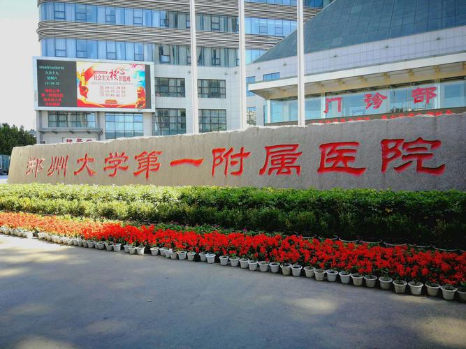 铿锵玫瑰学无止境---郑大一附院首届卒中护理专科护士培训纪实系列