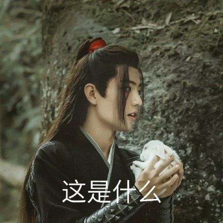 陈情令表情包有多腻歪蓝湛魏婴太直接看到最后虐哭舅舅