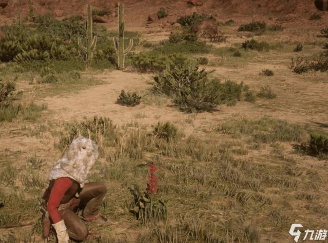 荒野大镖客2草药怎么摘30种草药采摘位置介绍