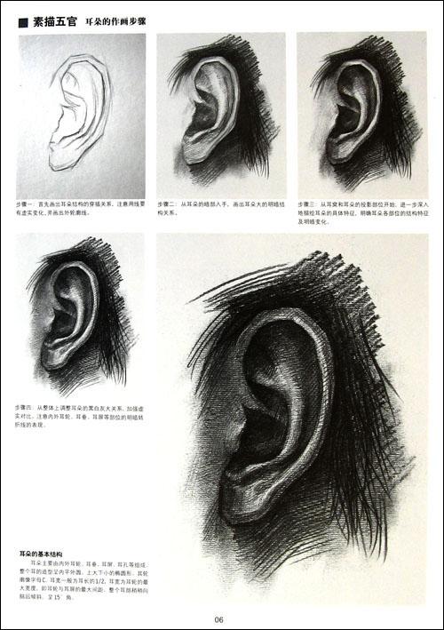 五官素描图集