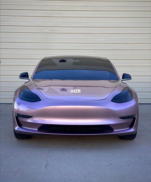 特斯拉毛豆三_特斯拉怎么样_电动车_智能_我的车真好看_汽车_汽车介绍