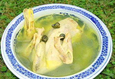 青螺炖鸭