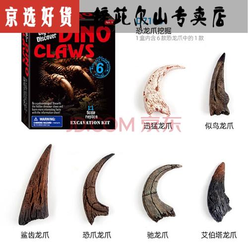 diy手工恐龙化石考古挖掘玩具 男孩恐龙牙齿爪子化石挖宝藏考古挖掘