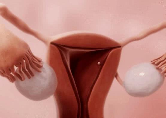 卵子排出的"一刹那",女生多半有这"3感觉","傻丫头"别