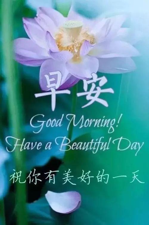 十二月早上好祝福壁纸美图美句,祝你清心惬意