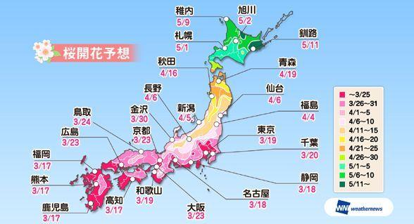 日本樱花前线开启高知县樱花最早开放