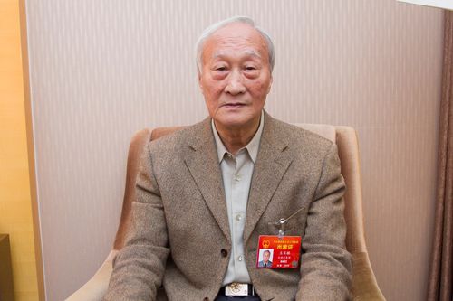 王家骐
