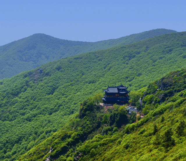 苏州乐园大阳山植物园菊花展