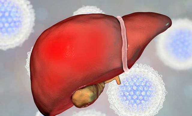 在评估肝炎病人康复时,转氨酶正常是重要的条件之一,但是转氨