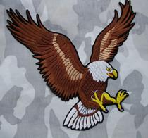 美国白头海雕简笔画