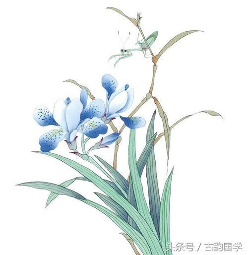 十大名花遇上古诗词,美爆了!首首名篇不朽,千古传诵意味悠然