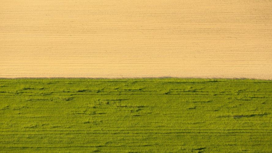 绿色草地护眼图片壁纸411