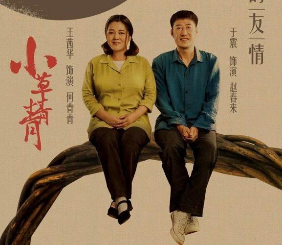 评分3.3,乡村催泪巨作《小草青青》,硬将所有灾难塞给了这家人