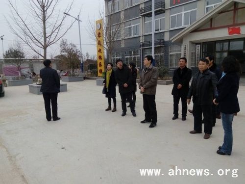 省文化厅领导到砀山县玄庙镇古黄新村调研